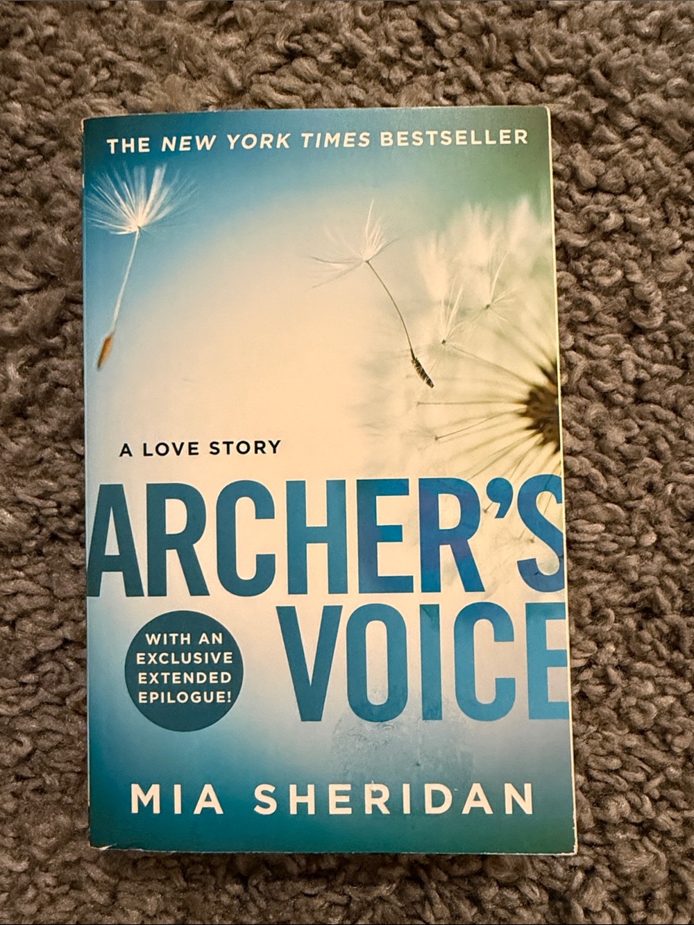Barnes & Noble Blue Gradient "Archer's Voice" Paperback